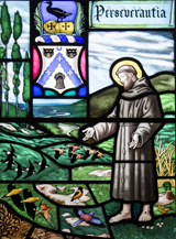 St Francis with Bird. Skeat, Francis W., 1909-
