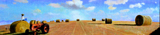Farming.
 
Click to enter image viewer

Use the Save buttons below to save any of the available image sizes to your computer.
