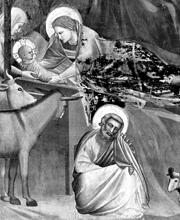 Birth of Christ.
 Bondone, Giotto di, 1266?-1337

Click to enter image viewer

Use the Save buttons below to save any of the available image sizes to your computer.

