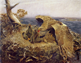 Sea Eagle's Nest. 