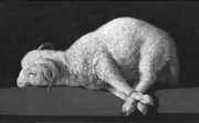 Lamb.
 Zurbarán, Francisco, 1598-1664

Click to enter image viewer

Use the Save buttons below to save any of the available image sizes to your computer.
