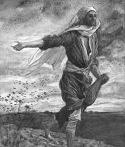 Sower.
 Tissot, James, 1836-1902

Click to enter image viewer

Use the Save buttons below to save any of the available image sizes to your computer.
