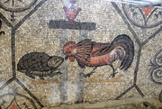 Cock, representing light, fights against a turtle, representing darkness. 