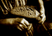 Bread of Life.
 
Click to enter image viewer

Use the Save buttons below to save any of the available image sizes to your computer.
