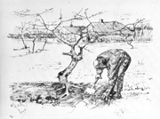 In the Orchard, or, Gardener near a Gnarled Apple Tree.
 Gogh, Vincent van, 1853-1890

Click to enter image viewer

Use the Save buttons below to save any of the available image sizes to your computer.
