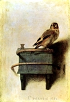 Thistlefinch.
 Fabritius, Carl Ferdinand, fl. 1664-1667

Click to enter image viewer

Use the Save buttons below to save any of the available image sizes to your computer.
