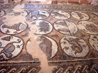 Byzantine Mosaics from Petra. 