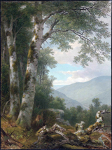 Landscape with Birches.
 Durand, A. B. (Asher Brown), 1796-1886

Click to enter image viewer

Use the Save buttons below to save any of the available image sizes to your computer.
