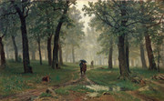 Rain in an Oak Forest.
 Shishkin, Ivan Ivanovich, 1832-1898

Click to enter image viewer

Use the Save buttons below to save any of the available image sizes to your computer.
