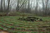 Turtle Peace Labyrinth. Burgess, Ariane