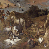 Noah's Ark. Griffier, Jan, -1718
