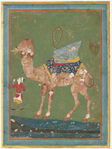 Composite Camel with Attendant. 