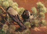Hooded Crows. Liljefors, Bruno, 1860-1939