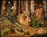 Hare in the Forest. Hoffman, Hans