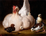 White hen with chickens. Hamilton, Anton Ignaz