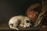 Sleeping Dog. Dou, Gerrit, 1613-1675