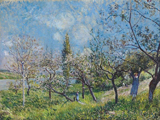 Orchard in Spring. Sisley, Alfred, 1839-1899