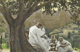 Prophecy of the Destruction of the Temple.
 Tissot, James, 1836-1902

Click to enter image viewer

Use the Save buttons below to save any of the available image sizes to your computer.

