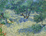 Olive Orchard.
 Gogh, Vincent van, 1853-1890

Click to enter image viewer

Use the Save buttons below to save any of the available image sizes to your computer.

