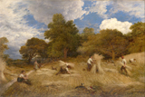 Wheat. Linnell, John, 1792-1882