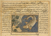 Yunus (Arabic for Jonah) under the gourd vine (plant/tree) and with the whale.
 Rashid, al-Din

Click to enter image viewer

Use the Save buttons below to save any of the available image sizes to your computer.
